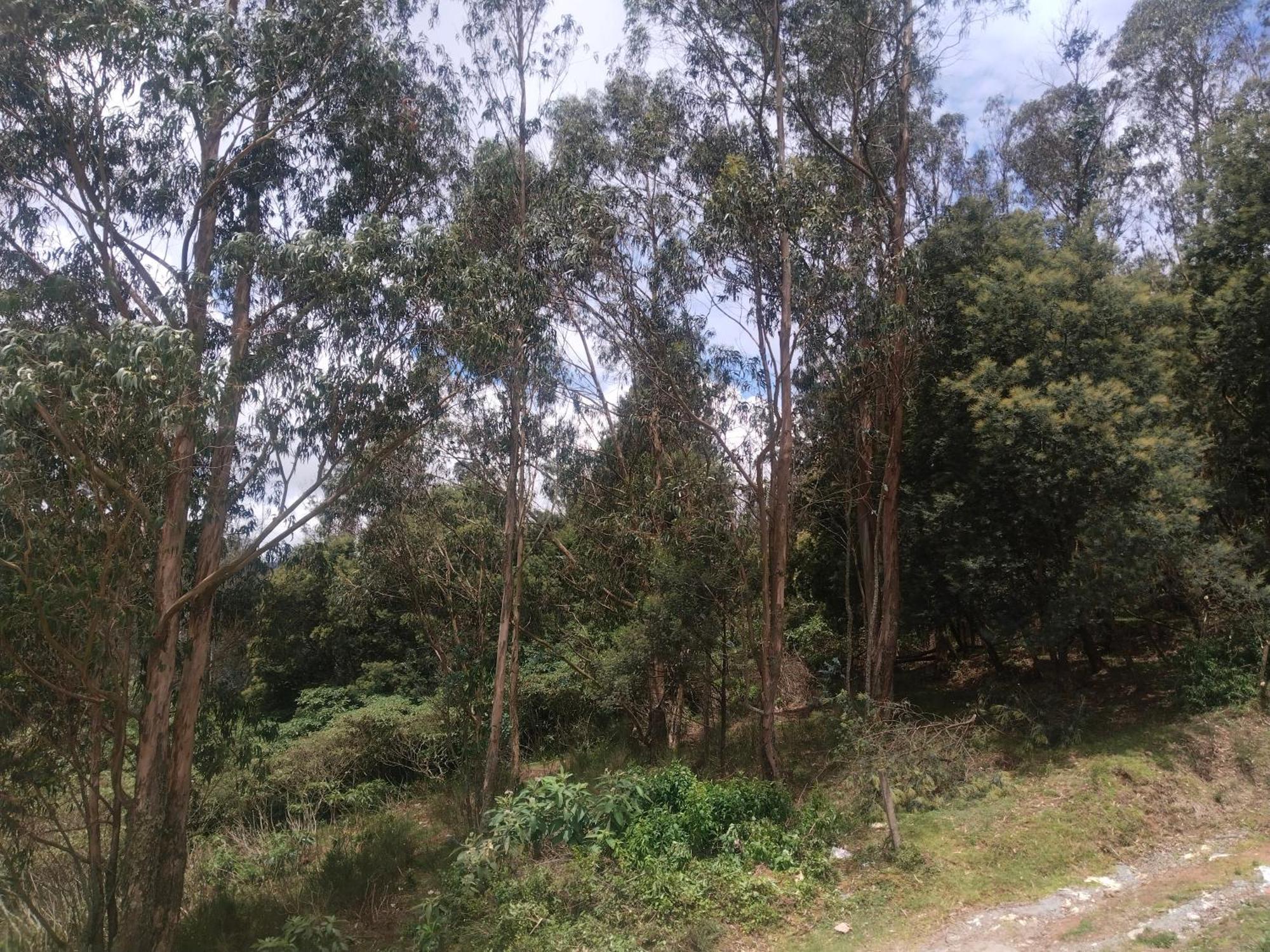 Apartmán Bs Dreamz Ooty Exteriér fotografie