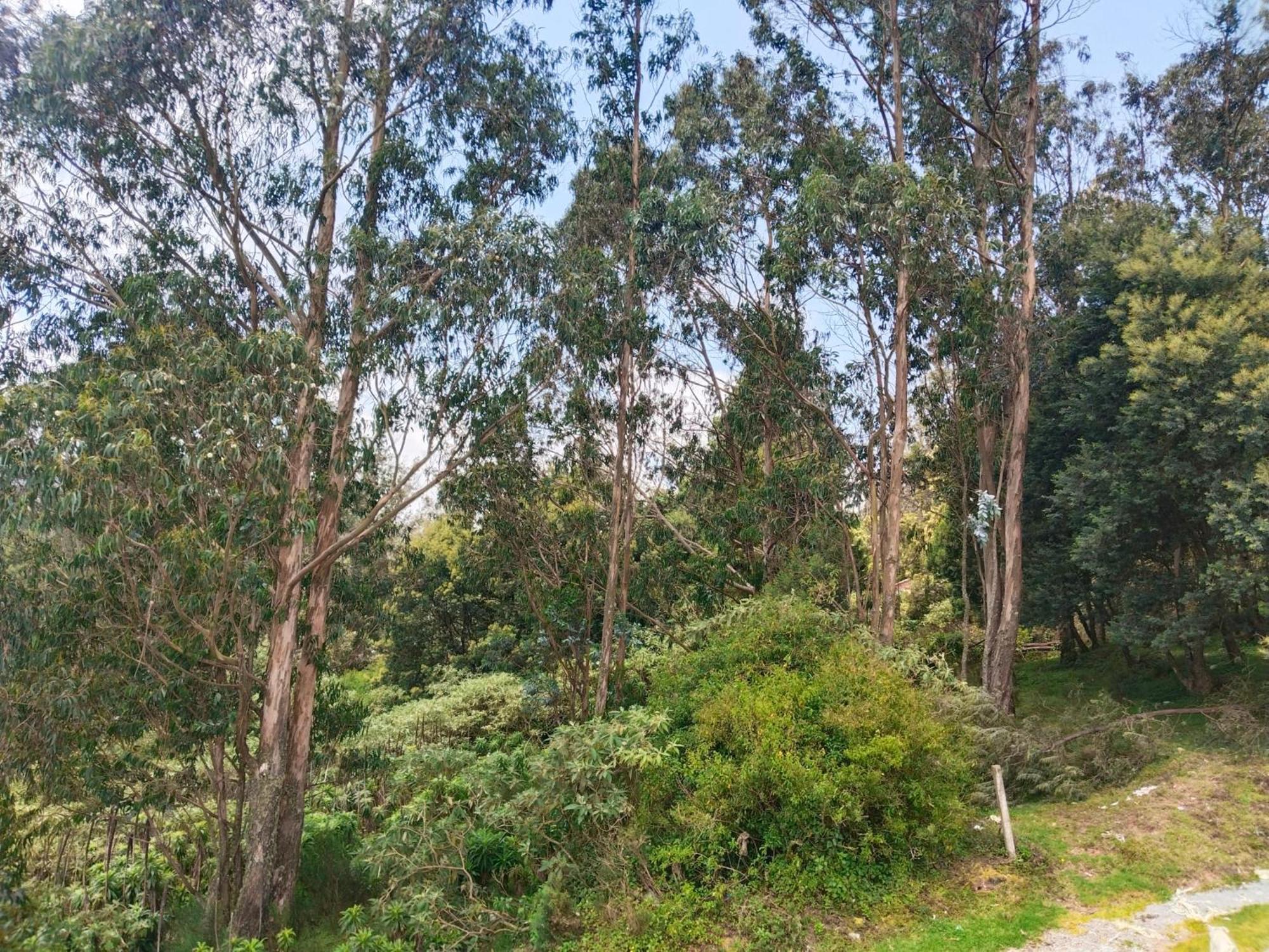 Apartmán Bs Dreamz Ooty Exteriér fotografie